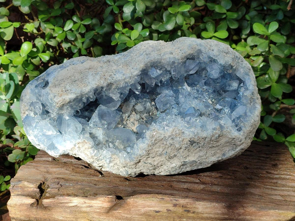 Natural XL Blue Celestite Geode Specimen x 1 From Sakoany, Madagascar - Toprock Gemstones and Minerals 