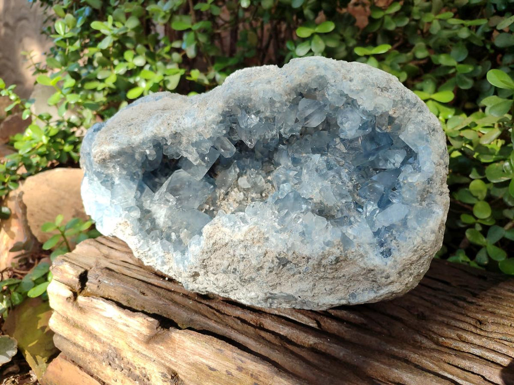 Natural XL Blue Celestite Geode Specimen x 1 From Sakoany, Madagascar - Toprock Gemstones and Minerals 