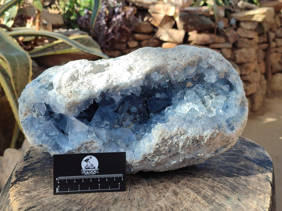 Natural XL Blue Celestite Geode Specimen x 1 From Sakoany, Madagascar - Toprock Gemstones and Minerals 