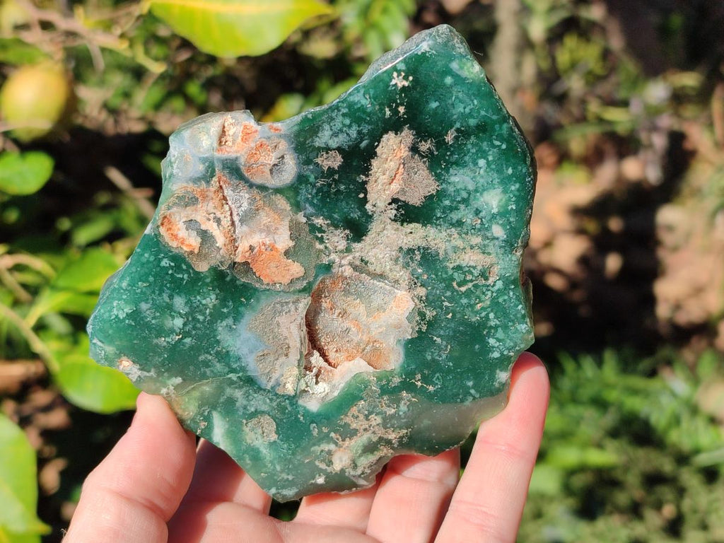 Polished On One Side Mtorolite Chrysoprase Plates x 6 From Mutorashanga, Zimbabwe - Toprock Gemstones and Minerals 