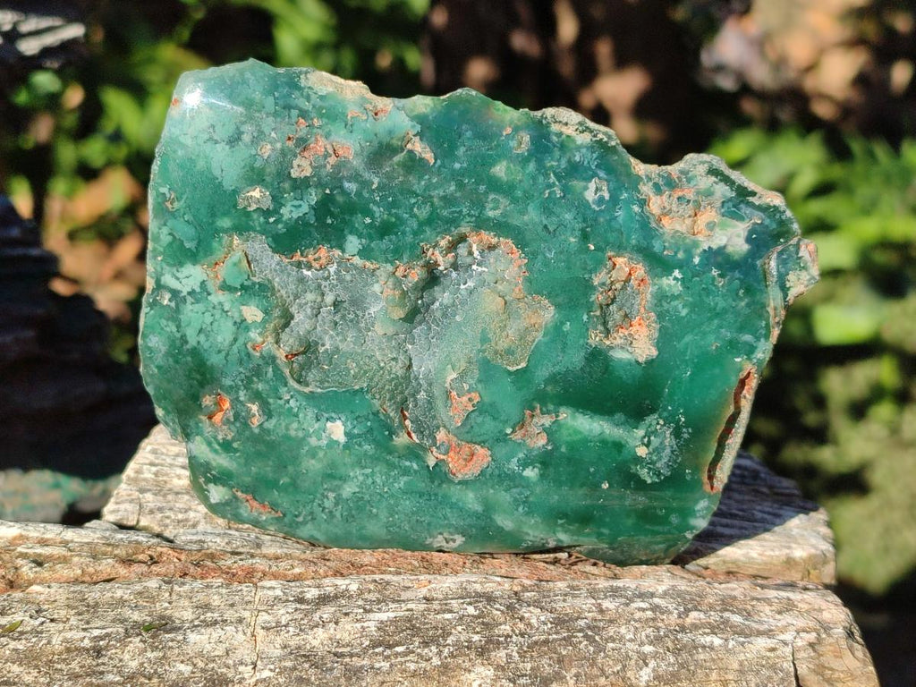 Polished On One Side Mtorolite Chrysoprase Plates x 6 From Mutorashanga, Zimbabwe - Toprock Gemstones and Minerals 