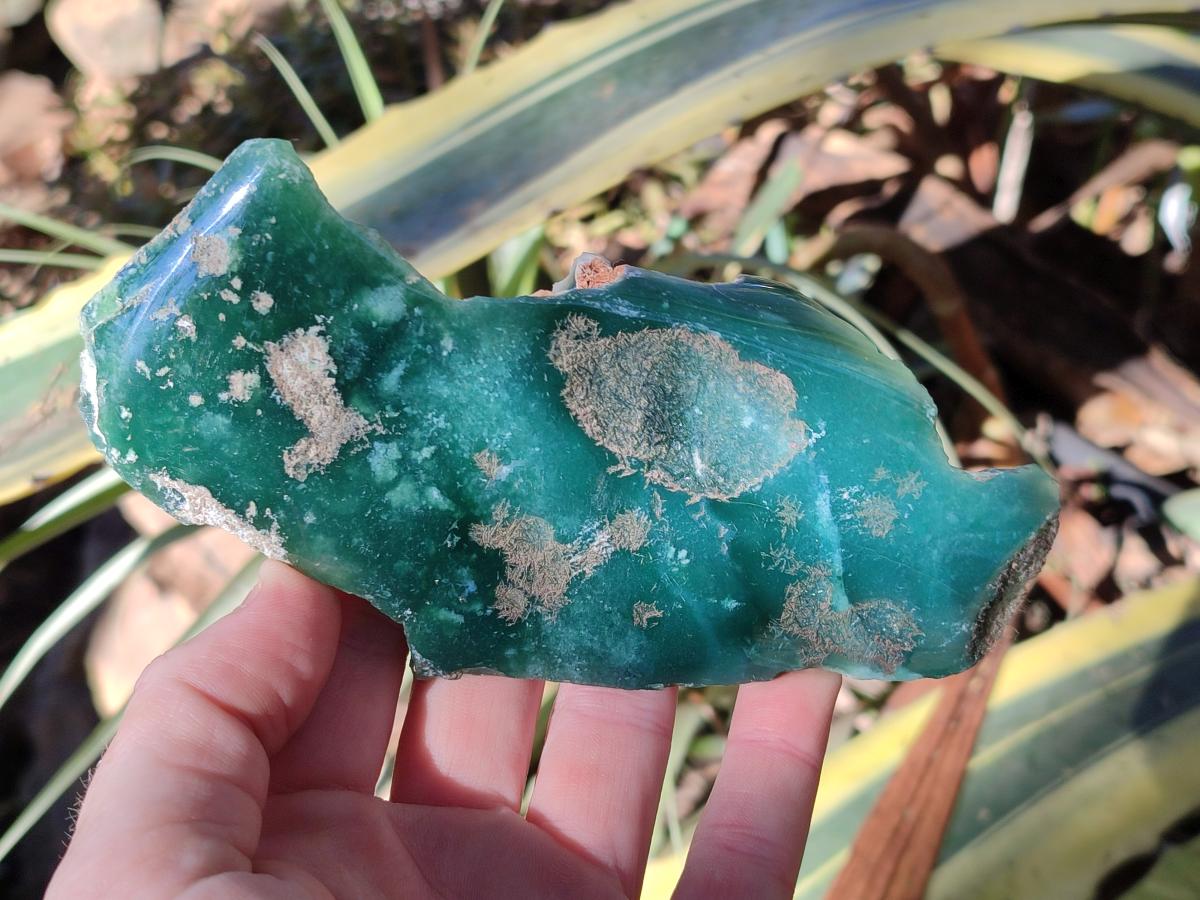 Polished On One Side Mtorolite Chrysoprase Plates x 6 From Mutorashanga, Zimbabwe - Toprock Gemstones and Minerals 