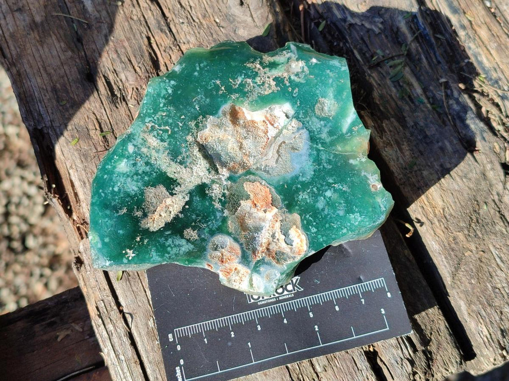 Polished On One Side Mtorolite Chrysoprase Plates x 6 From Mutorashanga, Zimbabwe - Toprock Gemstones and Minerals 