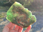 Polished On One Side Mtorolite Chrysoprase Plates x 6 From Mutorashanga, Zimbabwe - Toprock Gemstones and Minerals 
