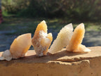 Natural Limonite Tinted Smokey Spirit Quartz Crystals and Clusters x 35 From Boekenhouthoek, South Africa - Toprock Gemstones and Minerals 