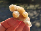 Natural Limonite Tinted Smokey Spirit Quartz Crystals and Clusters x 35 From Boekenhouthoek, South Africa - Toprock Gemstones and Minerals 