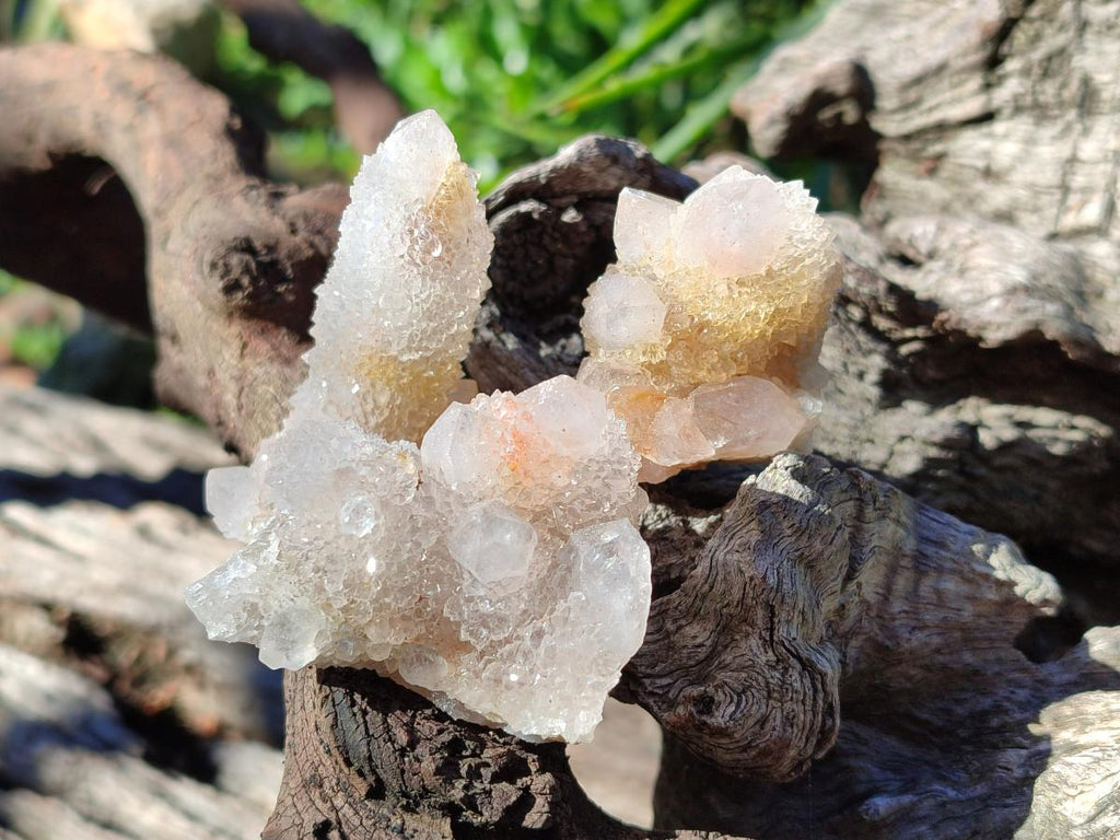 Natural Limonite Tinted Smokey Spirit Quartz Crystals and Clusters x 35 From Boekenhouthoek, South Africa - Toprock Gemstones and Minerals 