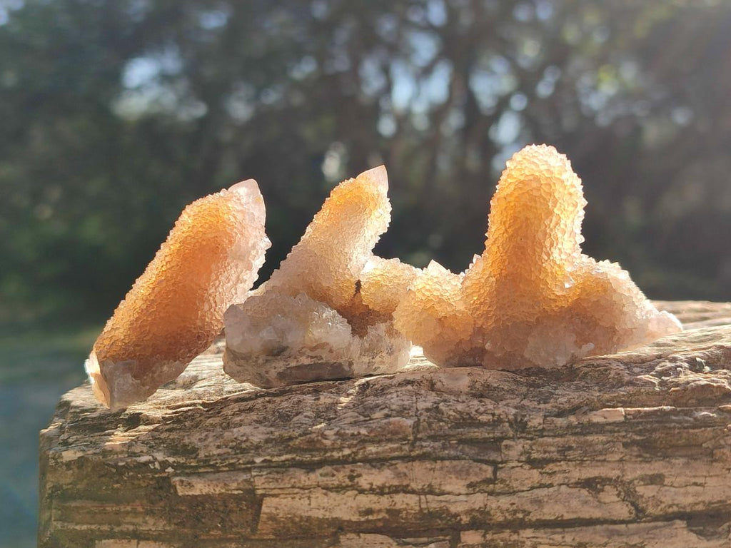 Natural Limonite Tinted Smokey Spirit Quartz Crystals and Clusters x 35 From Boekenhouthoek, South Africa - Toprock Gemstones and Minerals 