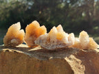 Natural Limonite Tinted Smokey Spirit Quartz Crystals and Clusters x 35 From Boekenhouthoek, South Africa - Toprock Gemstones and Minerals 