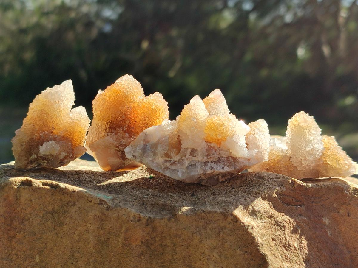 Natural Limonite Tinted Smokey Spirit Quartz Crystals and Clusters x 35 From Boekenhouthoek, South Africa - Toprock Gemstones and Minerals 