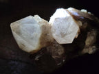 Natural Cascading White Phantom Smokey Luena Quartz Clusters x 3 rom Luena, Congo - Toprock Gemstones and Minerals 