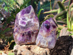 Polished Dark Chevron Amethyst Display Crystal Points x 2 From Mapatizya, Zambia - Toprock Gemstones and Minerals 
