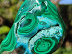 Polished Malacolla Free Forms x 6 From Kulukuluku, Congo - Toprock Gemstones and Minerals 