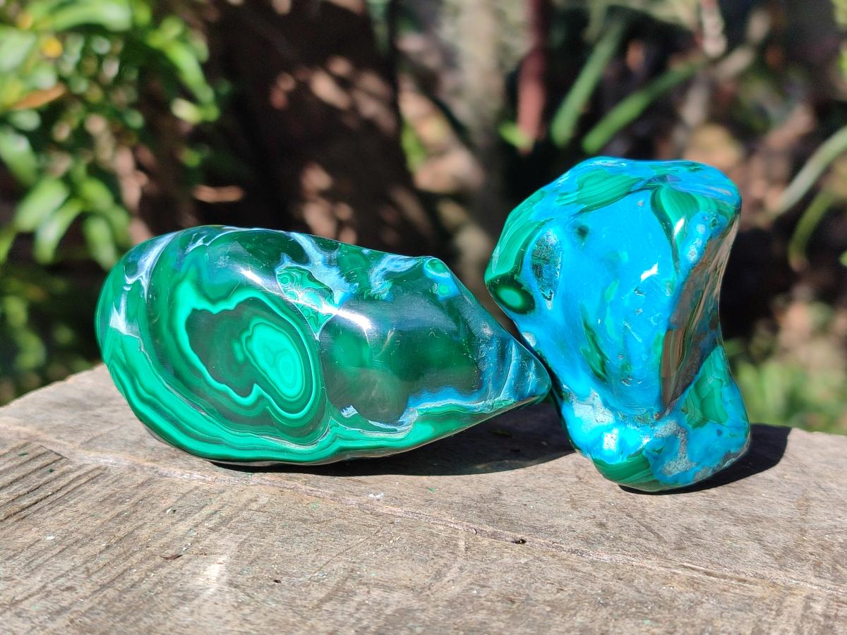 Polished Malacolla Free Forms x 6 From Kulukuluku, Congo - Toprock Gemstones and Minerals 