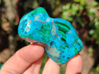 Polished Malacolla Free Forms x 6 From Kulukuluku, Congo - Toprock Gemstones and Minerals 