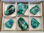 Polished Malacolla Free Forms x 6 From Kulukuluku, Congo - Toprock Gemstones and Minerals 