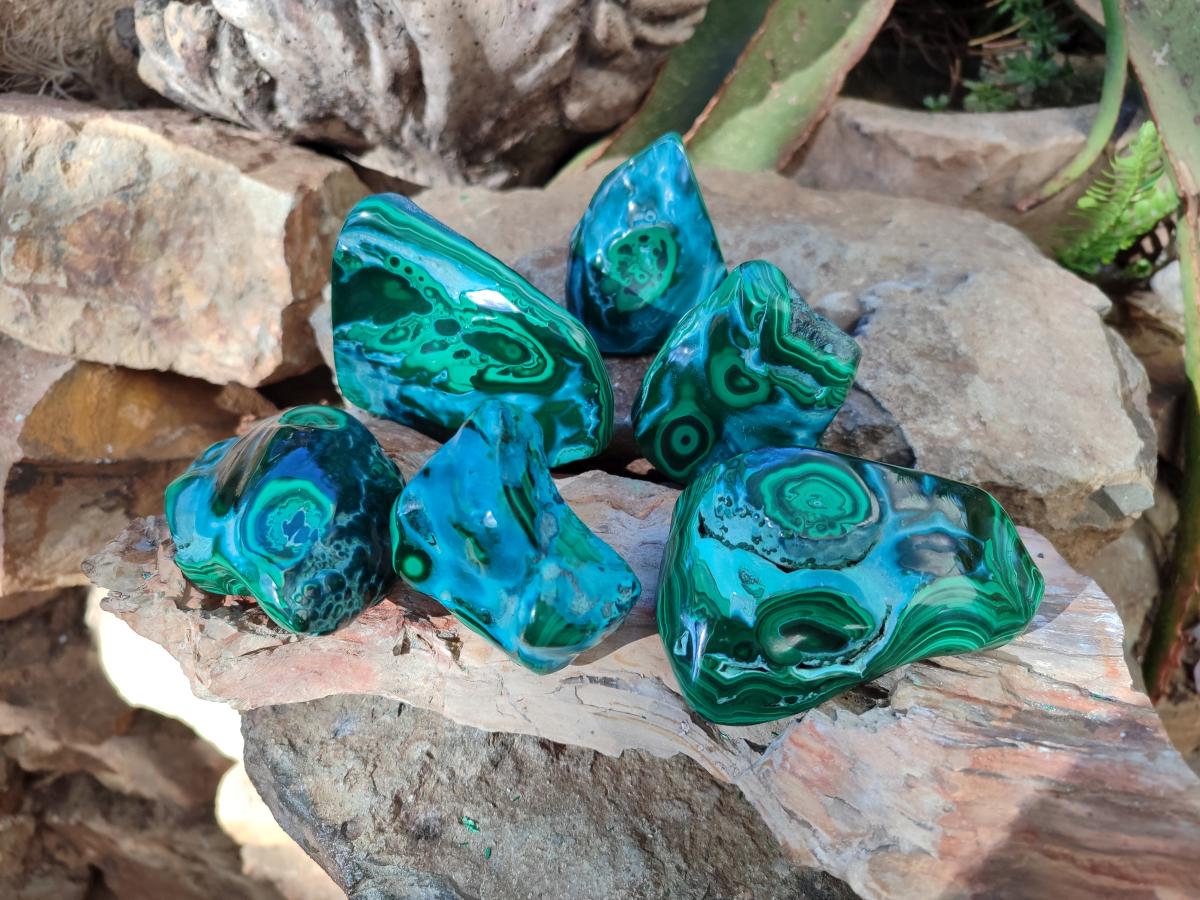 Polished Malacolla Free Forms x 6 From Kulukuluku, Congo - Toprock Gemstones and Minerals 