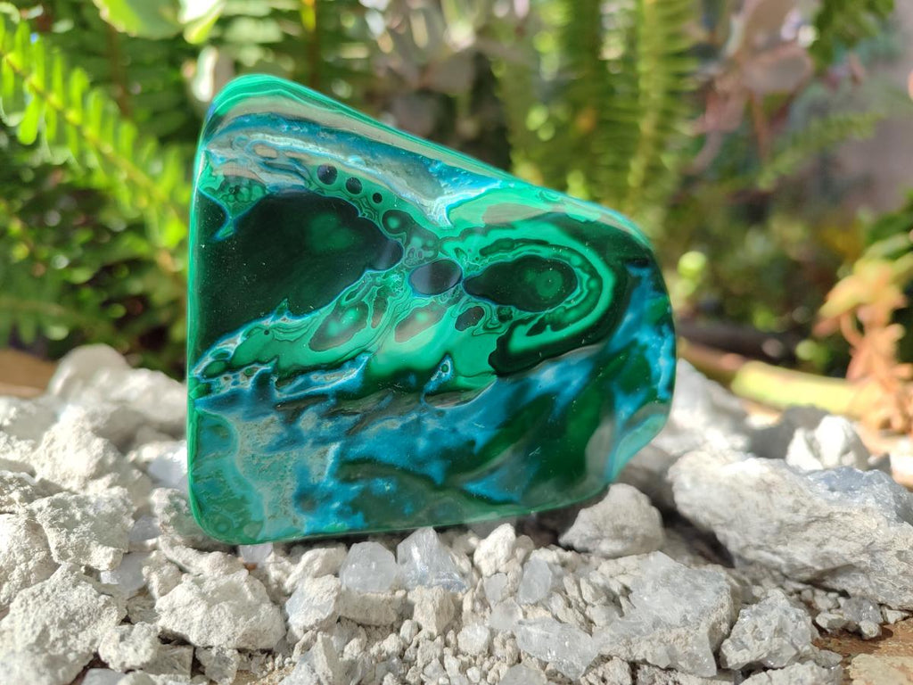 Polished Malacolla Free Forms x 6 From Kulukuluku, Congo - Toprock Gemstones and Minerals 