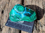 Polished Malacolla Free Forms x 6 From Kulukuluku, Congo - Toprock Gemstones and Minerals 