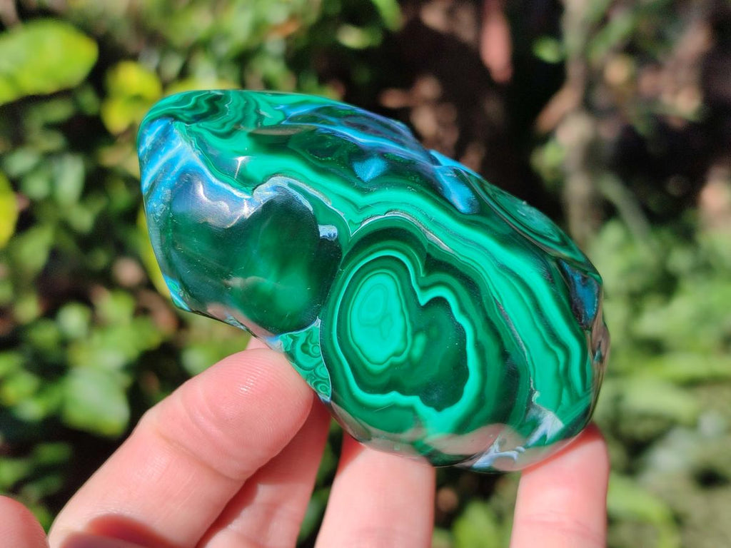 Polished Malacolla Free Forms x 6 From Kulukuluku, Congo - Toprock Gemstones and Minerals 