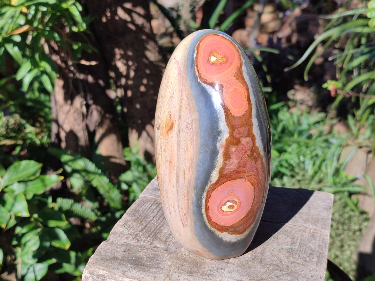 Polished Large Polychrome Jasper Standing Display Piece x 1 From NW Coast, Madagascar - Toprock Gemstones and Minerals 