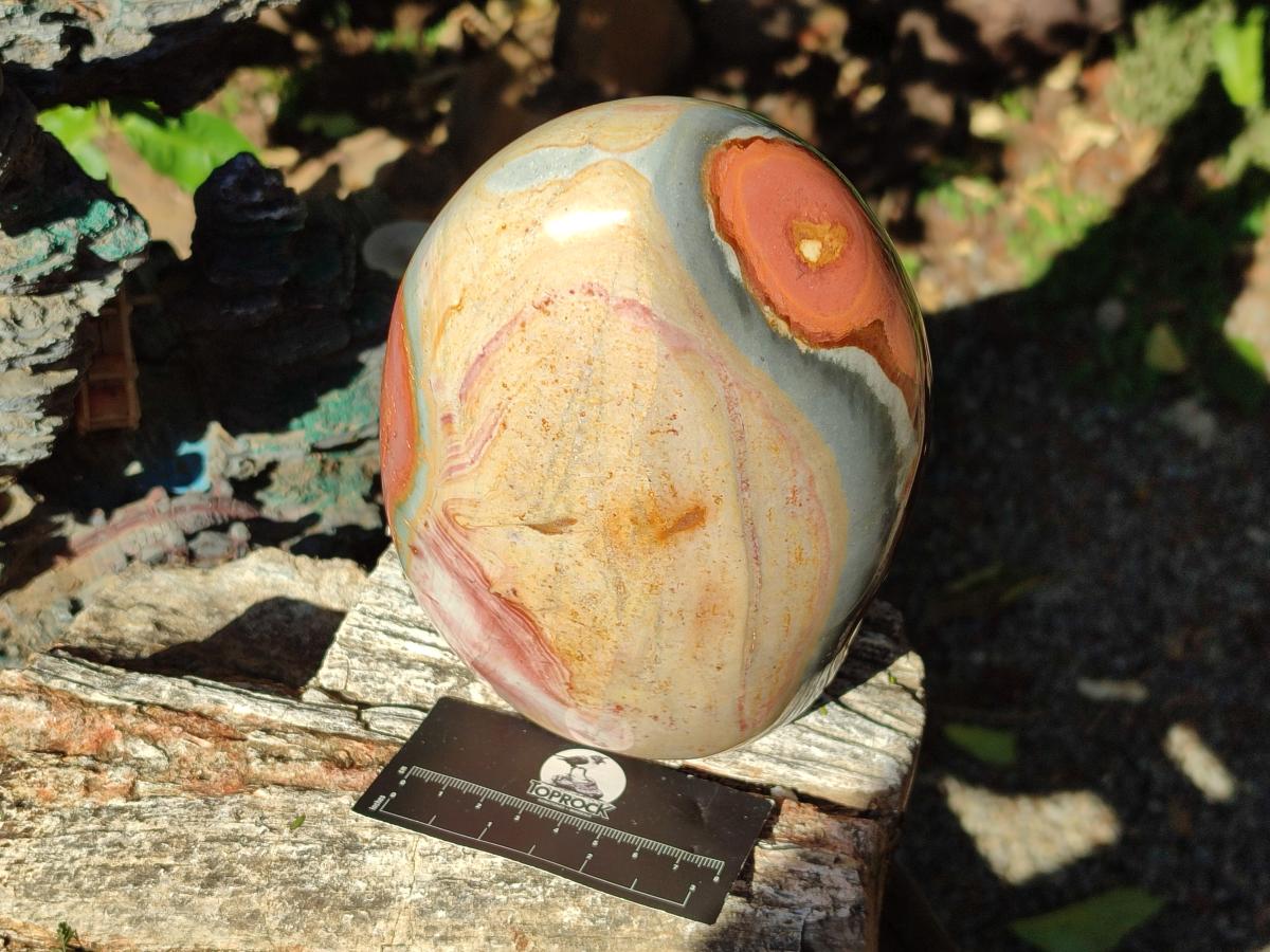 Polished Large Polychrome Jasper Standing Display Piece x 1 From NW Coast, Madagascar - Toprock Gemstones and Minerals 