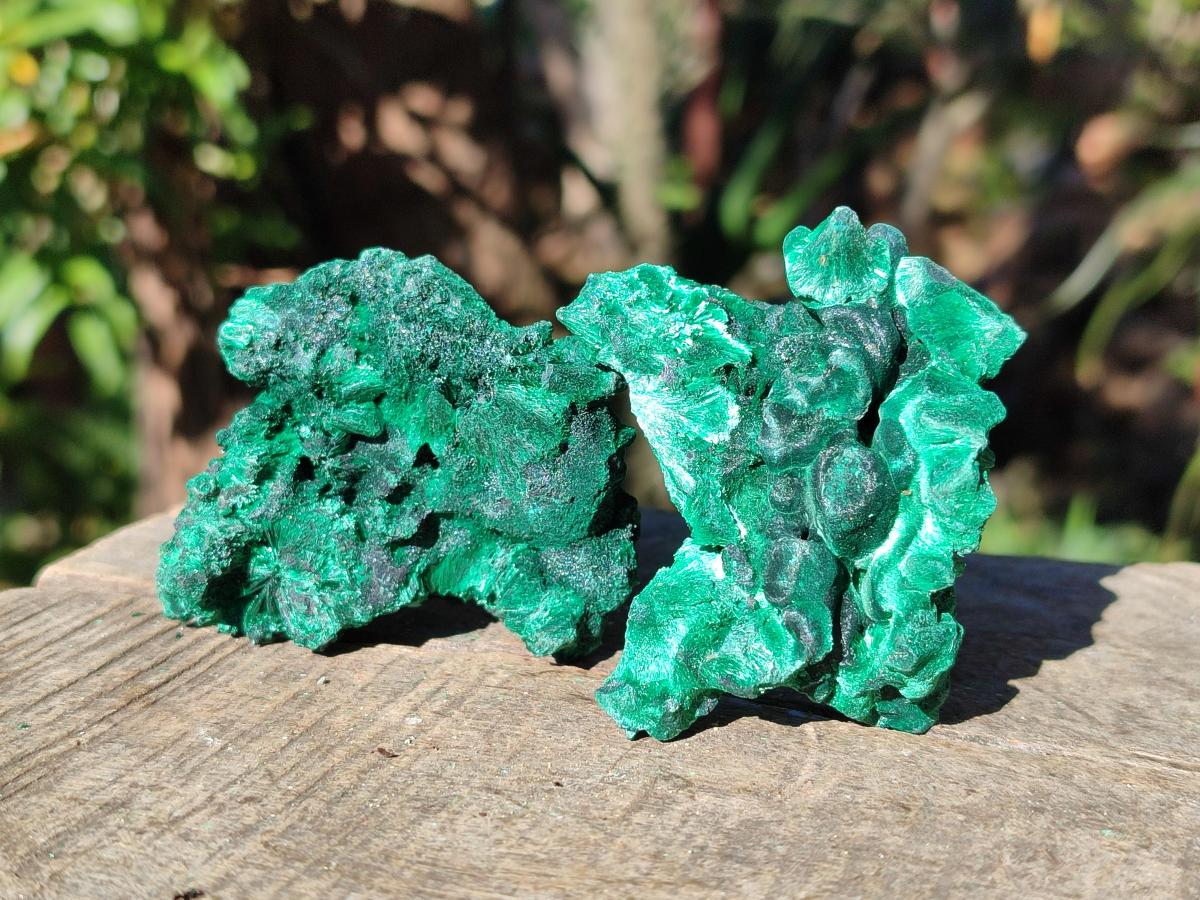 Natural Silky Malachite Specimens x 12 From Kasompe, Congo - Toprock Gemstones and Minerals 