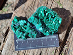 Natural Silky Malachite Specimens x 12 From Kasompe, Congo - Toprock Gemstones and Minerals 