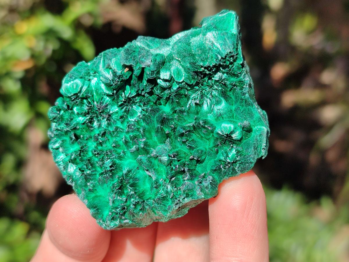 Natural Silky Malachite Specimens x 12 From Kasompe, Congo - Toprock Gemstones and Minerals 
