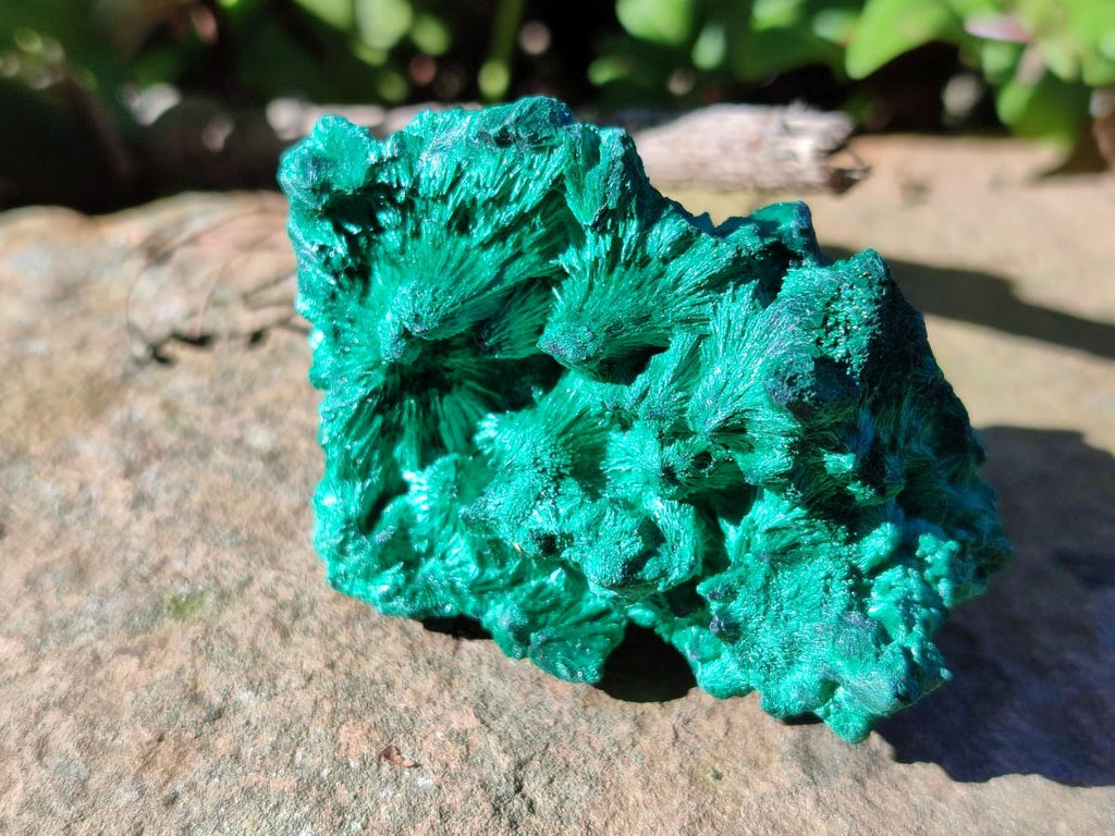 Natural Silky Malachite Specimens x 12 From Kasompe, Congo - Toprock Gemstones and Minerals 