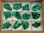 Natural Silky Malachite Specimens x 12 From Kasompe, Congo - Toprock Gemstones and Minerals 