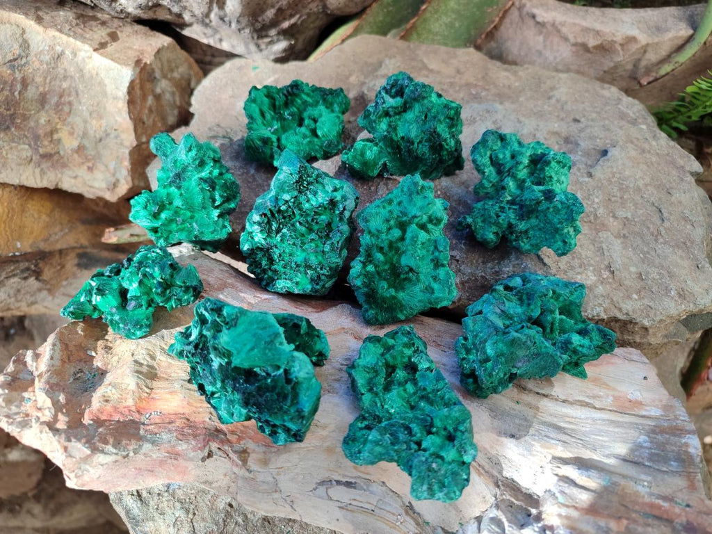 Natural Silky Malachite Specimens x 12 From Kasompe, Congo - Toprock Gemstones and Minerals 
