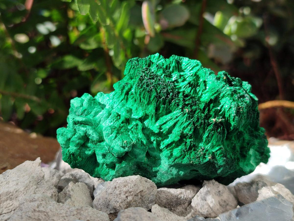 Natural Silky Malachite Specimens x 12 From Kasompe, Congo - Toprock Gemstones and Minerals 