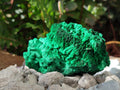 Natural Silky Malachite Specimens x 12 From Kasompe, Congo - Toprock Gemstones and Minerals 