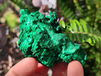 Natural Silky Malachite Specimens x 12 From Kasompe, Congo - Toprock Gemstones and Minerals 