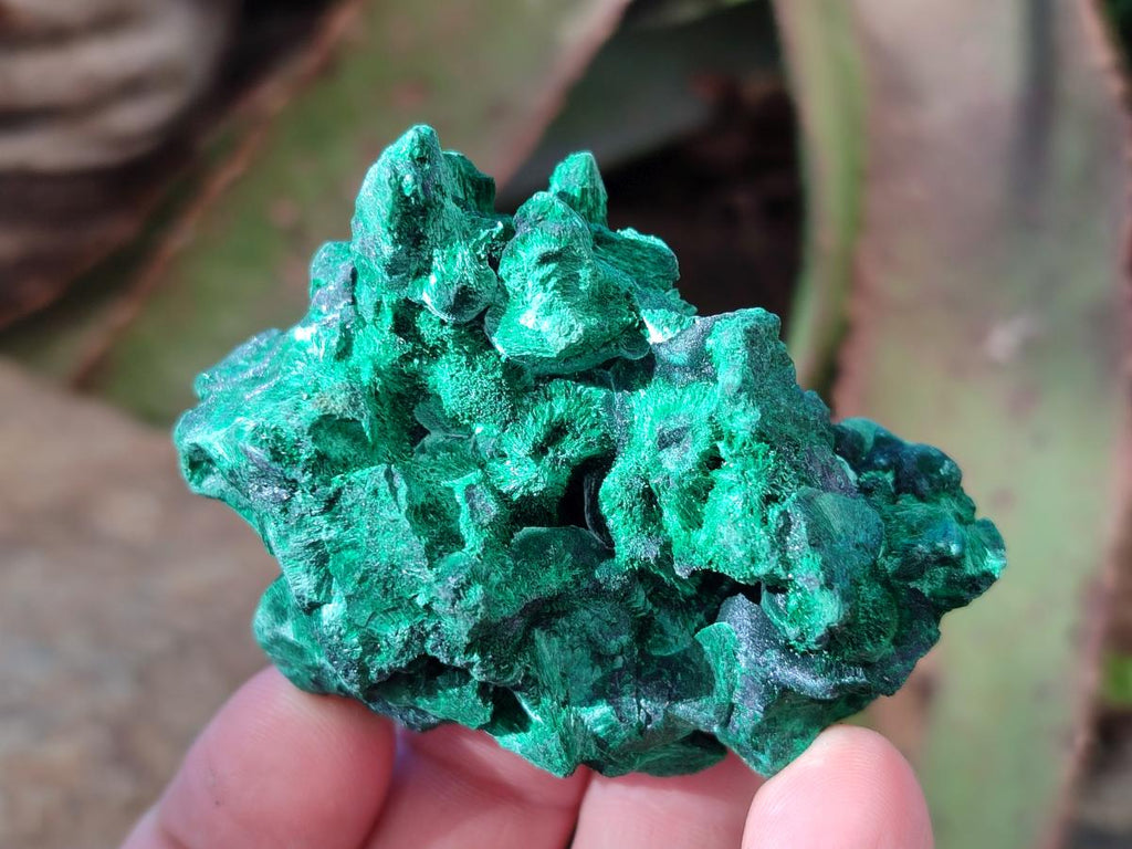 Natural Silky Malachite Specimens x 12 From Kasompe, Congo - Toprock Gemstones and Minerals 