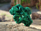 Natural Silky Malachite Specimens x 12 From Kasompe, Congo - Toprock Gemstones and Minerals 