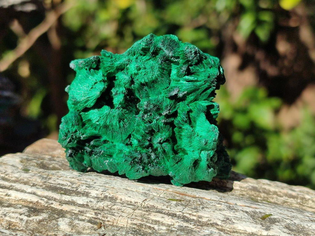 Natural Silky Malachite Specimens x 12 From Kasompe, Congo - Toprock Gemstones and Minerals 