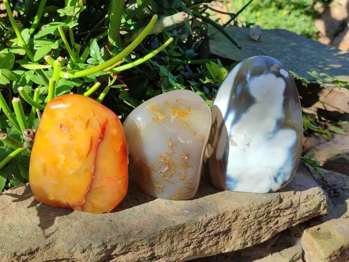 Polished Mixed Multi Mineral Display Pieces x 3 From Madagascar - Toprock Gemstones and Minerals 