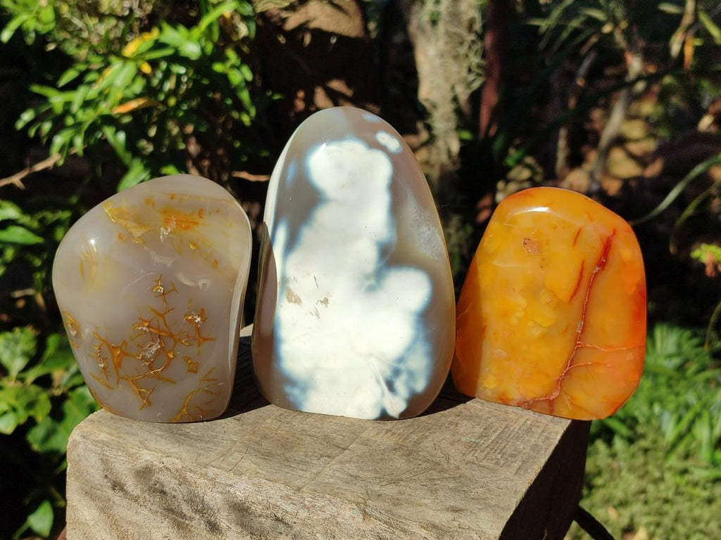 Polished Mixed Multi Mineral Display Pieces x 3 From Madagascar - Toprock Gemstones and Minerals 