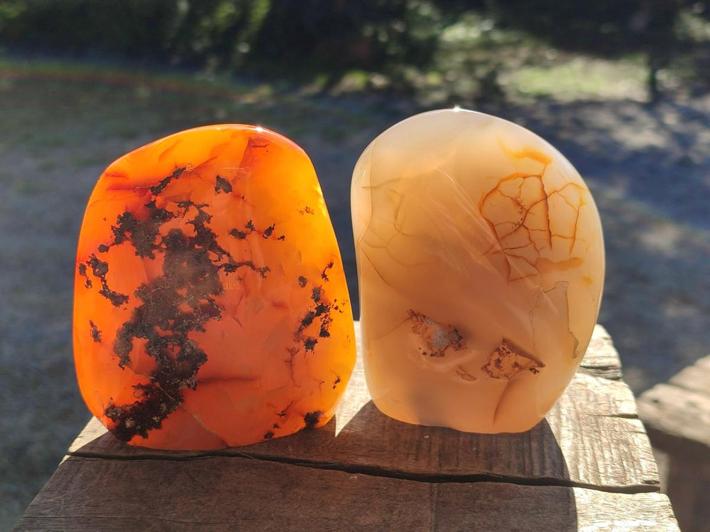 Polished Mixed Multi Mineral Display Pieces x 3 From Madagascar - Toprock Gemstones and Minerals 