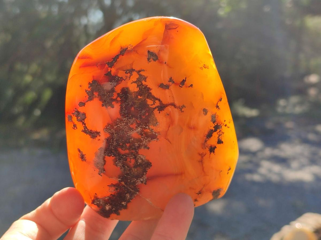 Polished Mixed Multi Mineral Display Pieces x 3 From Madagascar - Toprock Gemstones and Minerals 