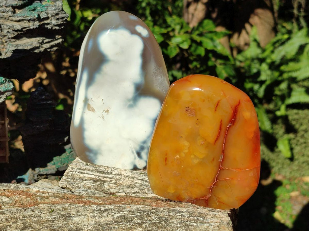 Polished Mixed Multi Mineral Display Pieces x 3 From Madagascar - Toprock Gemstones and Minerals 
