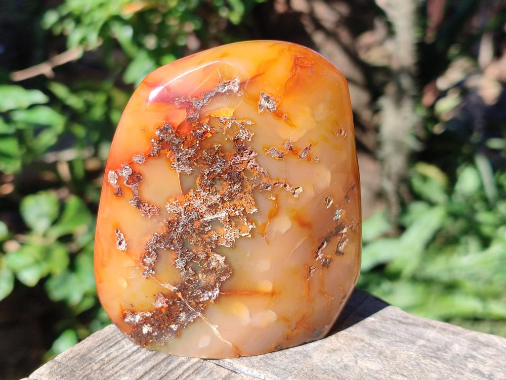 Polished Mixed Multi Mineral Display Pieces x 3 From Madagascar - Toprock Gemstones and Minerals 