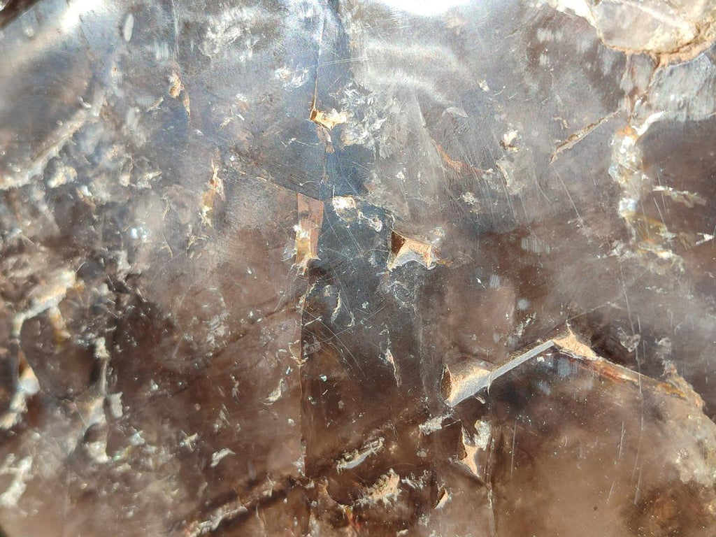 Polished XL Dark Smokey Window Quartz Crystal x 1 From Madagascar - Toprock Gemstones and Minerals 