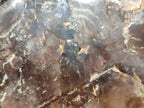 Polished XL Dark Smokey Window Quartz Crystal x 1 From Madagascar - Toprock Gemstones and Minerals 