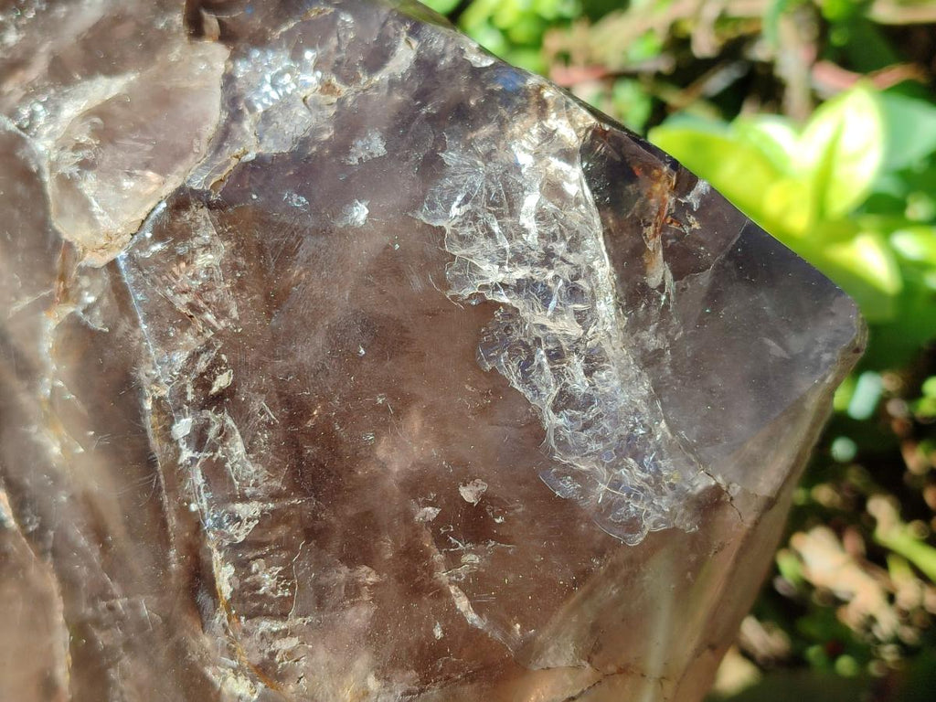 Polished XL Dark Smokey Window Quartz Crystal x 1 From Madagascar - Toprock Gemstones and Minerals 