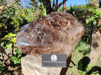 Polished XL Dark Smokey Window Quartz Crystal x 1 From Madagascar - Toprock Gemstones and Minerals 