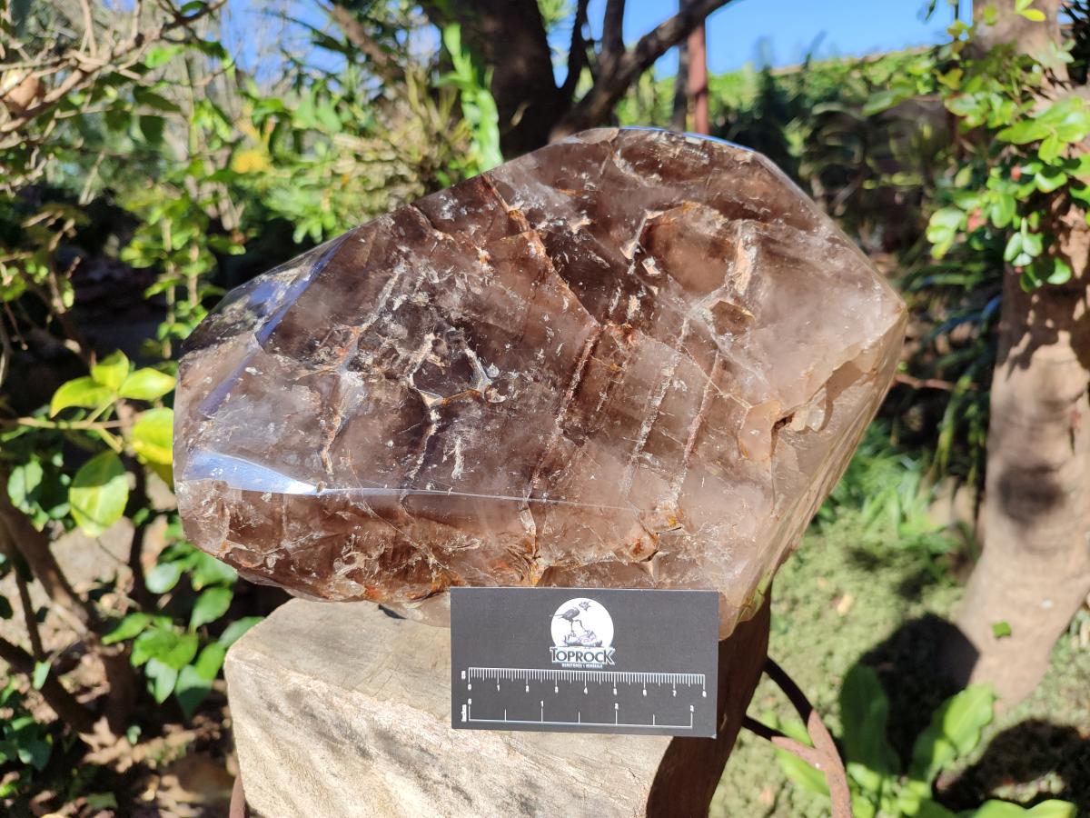Polished XL Dark Smokey Window Quartz Crystal x 1 From Madagascar - Toprock Gemstones and Minerals 