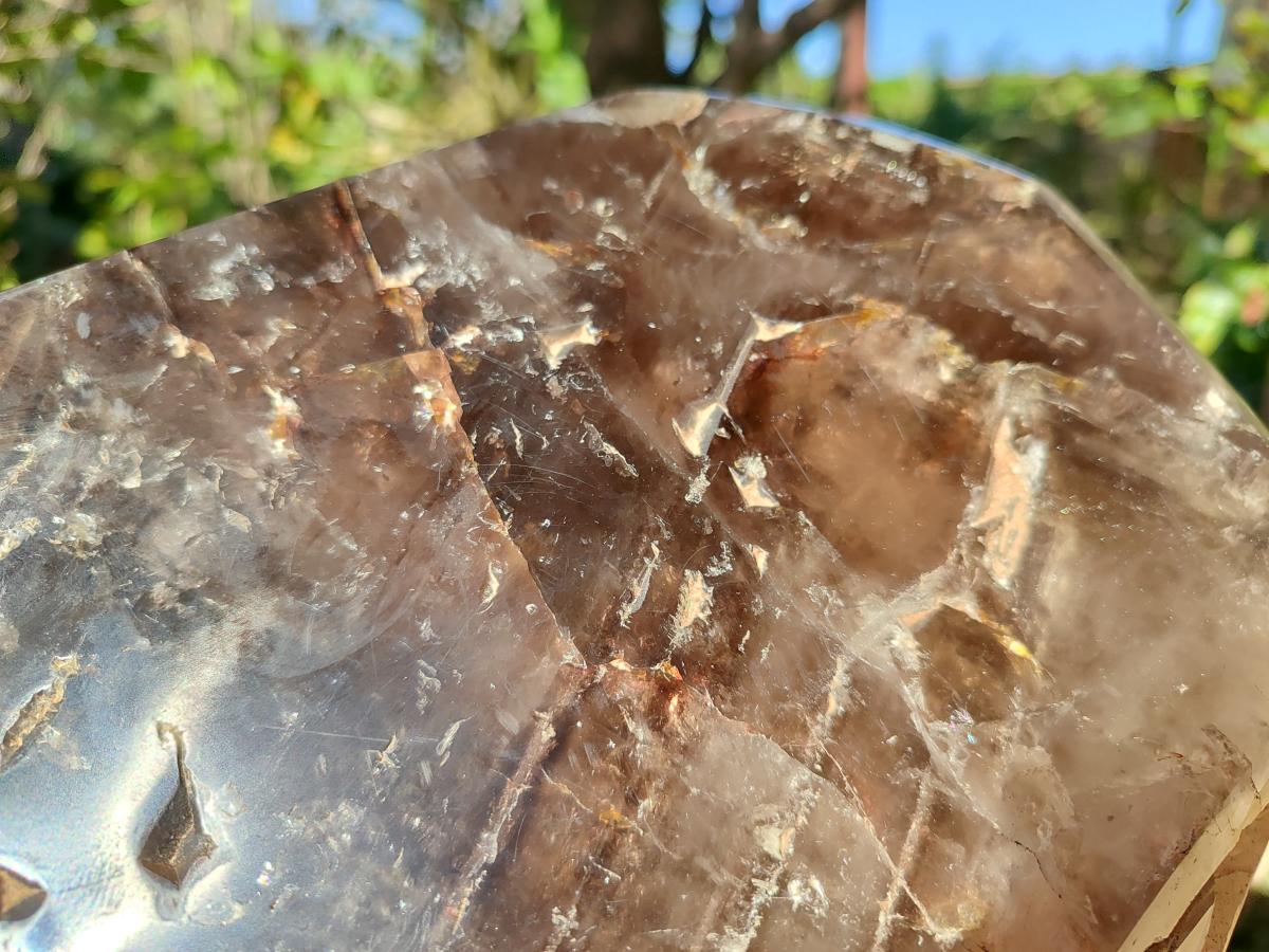 Polished XL Dark Smokey Window Quartz Crystal x 1 From Madagascar - Toprock Gemstones and Minerals 